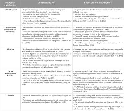 The interplay between mitochondria, the gut microbiome and metabolites and their therapeutic potential in primary mitochondrial disease